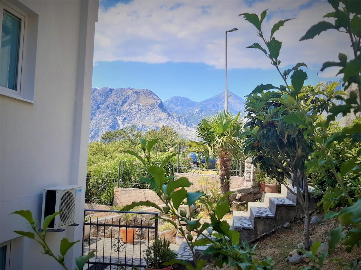 Apartments Sonja Kotor Luaran gambar